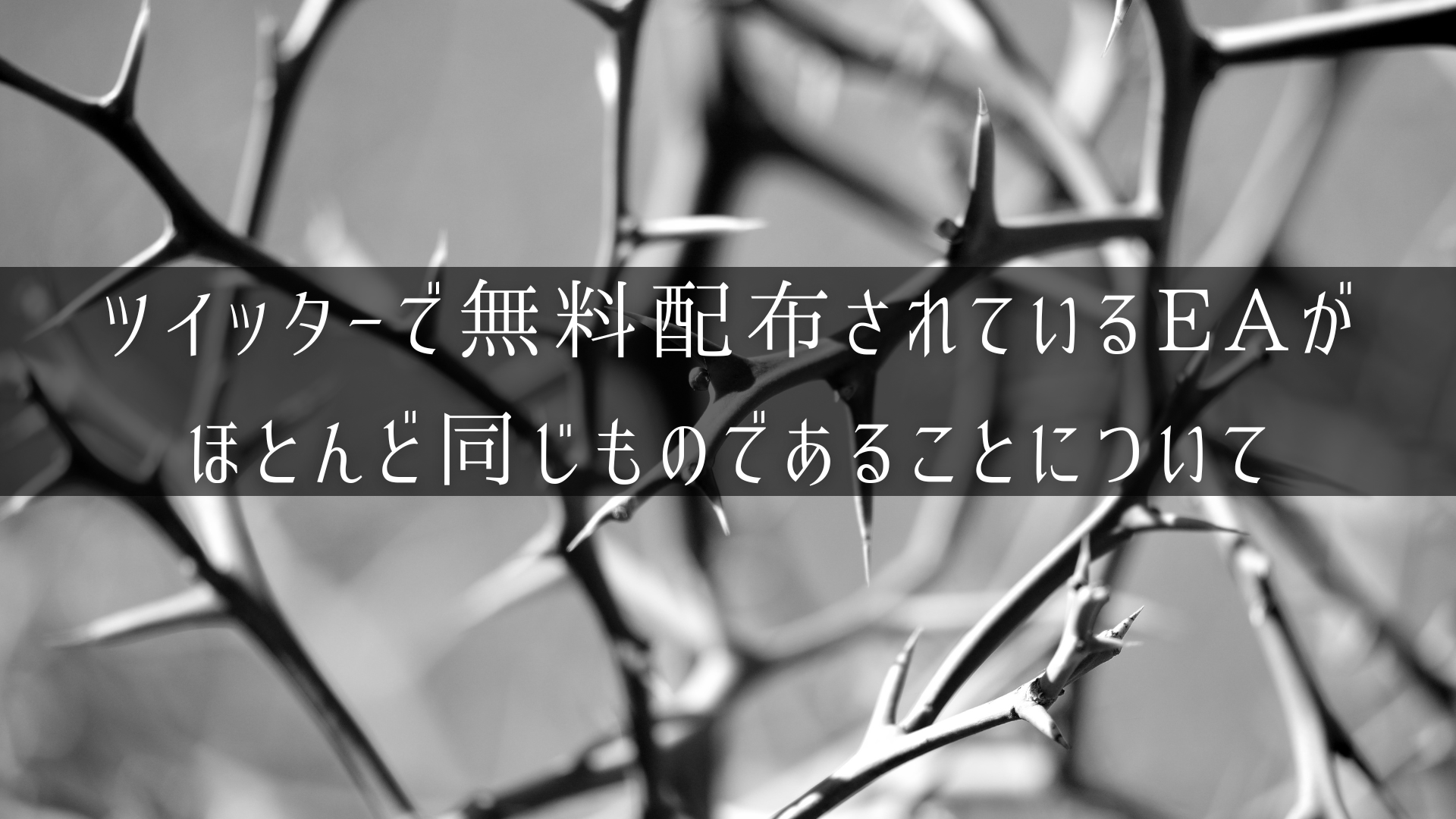 ツイッター無料配布EAが同じものについてのアイキャッチ